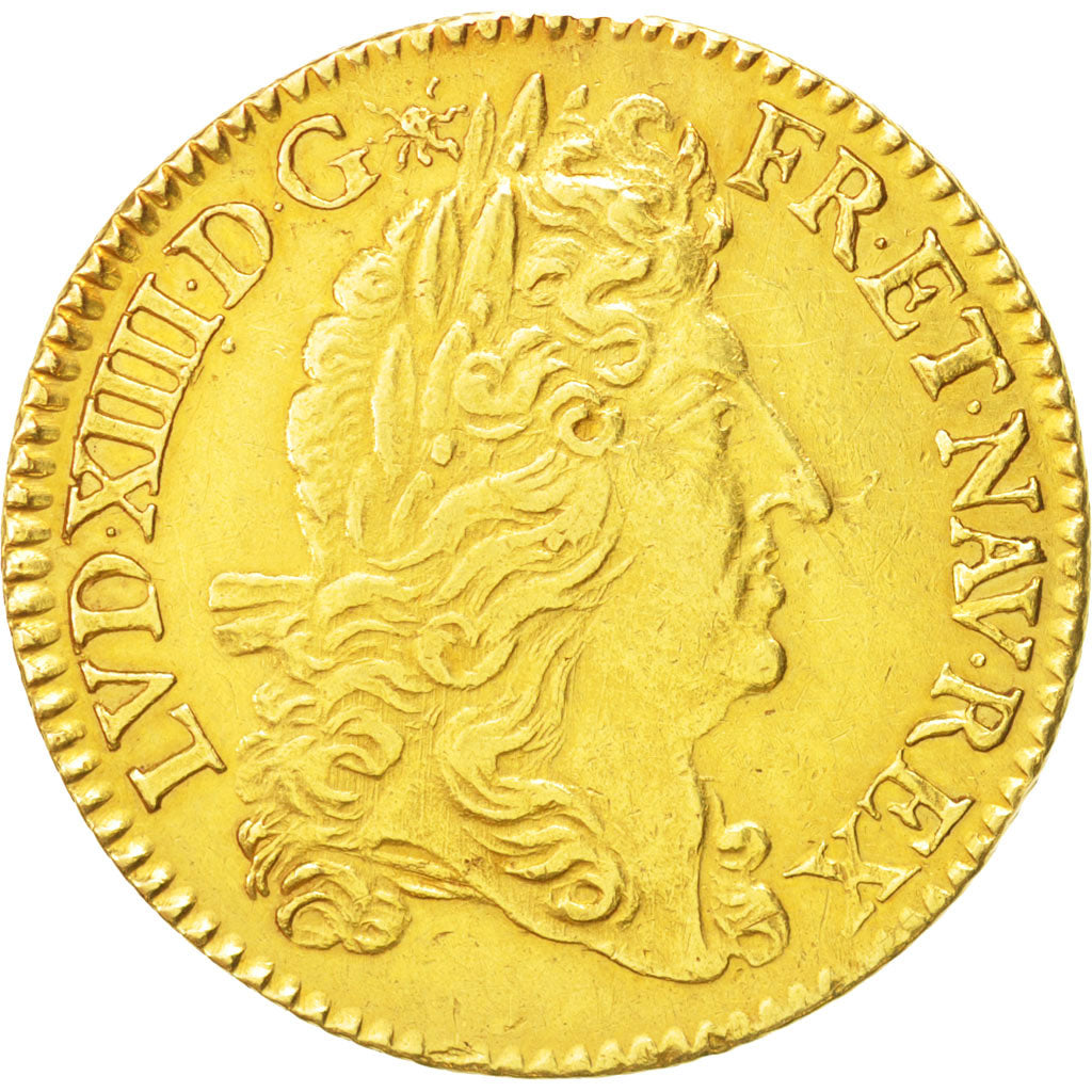 Münze, Frankreich, Louis XIV, Double louis d'or à l'écu, 2 Louis D'or, 1692