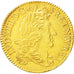 Münze, Frankreich, Louis XIV, Double louis d'or à l'écu, 2 Louis D'or, 1692