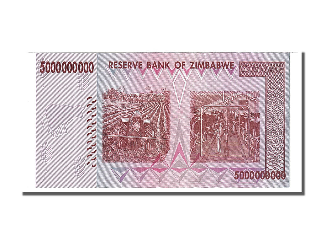 Banconote, Zimbabwe, 5 Billion Dollars, 2008, FDS