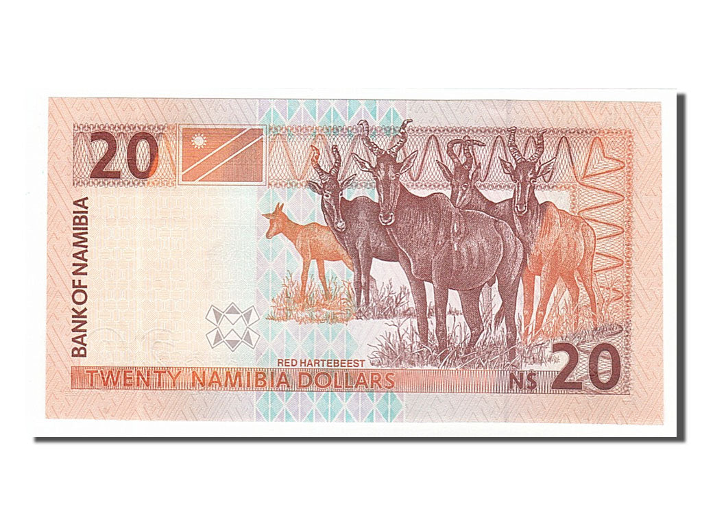 Billet, Namibia, 20 Namibia Dollars, 2002, NEUF