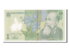 Banknote, Romania, 1 Leu, 2005, 2005-07-01, EF(40-45)