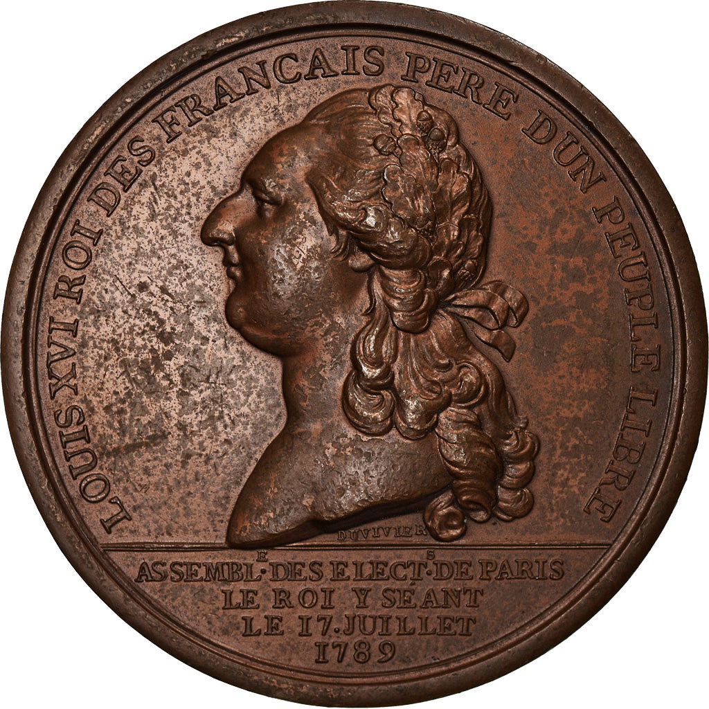 France, Medal, Louis XVI à l'Assemblée des Electeurs de Paris, History, 1789