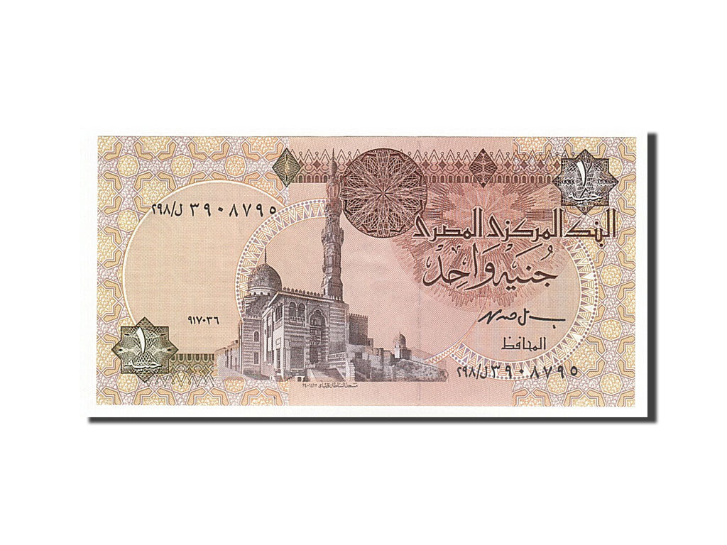 Egypt, 1 Pound, 1978, KM #50e, AU(55-58)