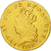 France, Louis XV, Louis d'or de Noailles, 1717, Paris, VF(20-25),Gold, KM 428.1