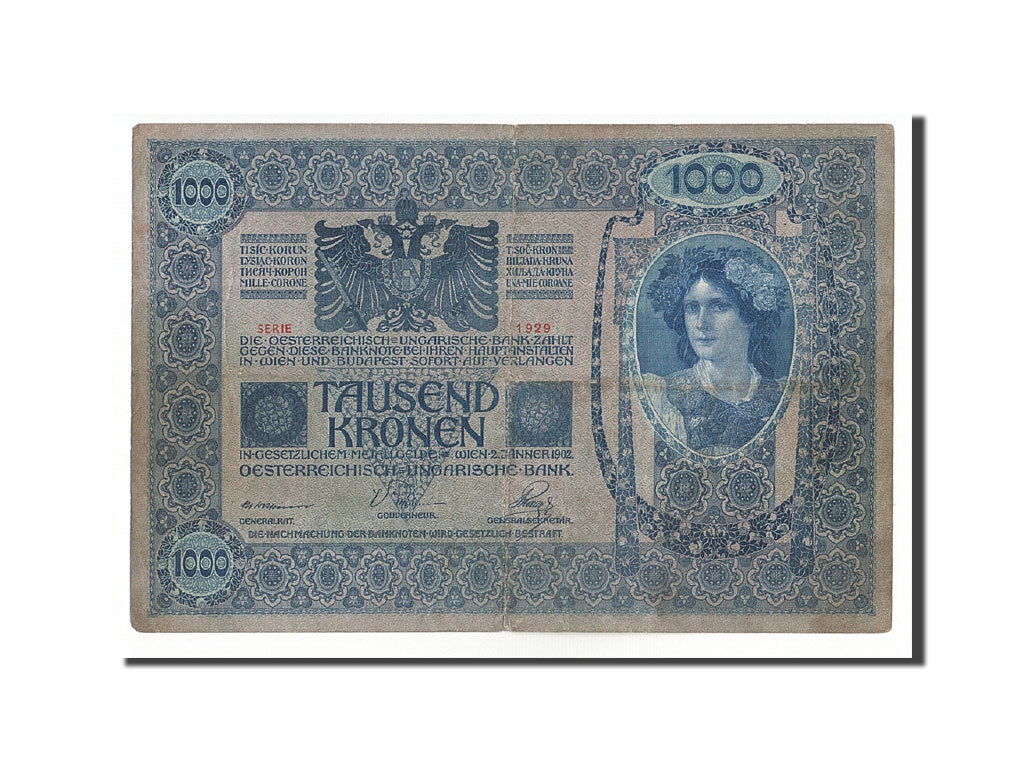Banknote, Austria, 1000 Kronen, 1919, 1902-01-02, KM:57a, EF(40-45)