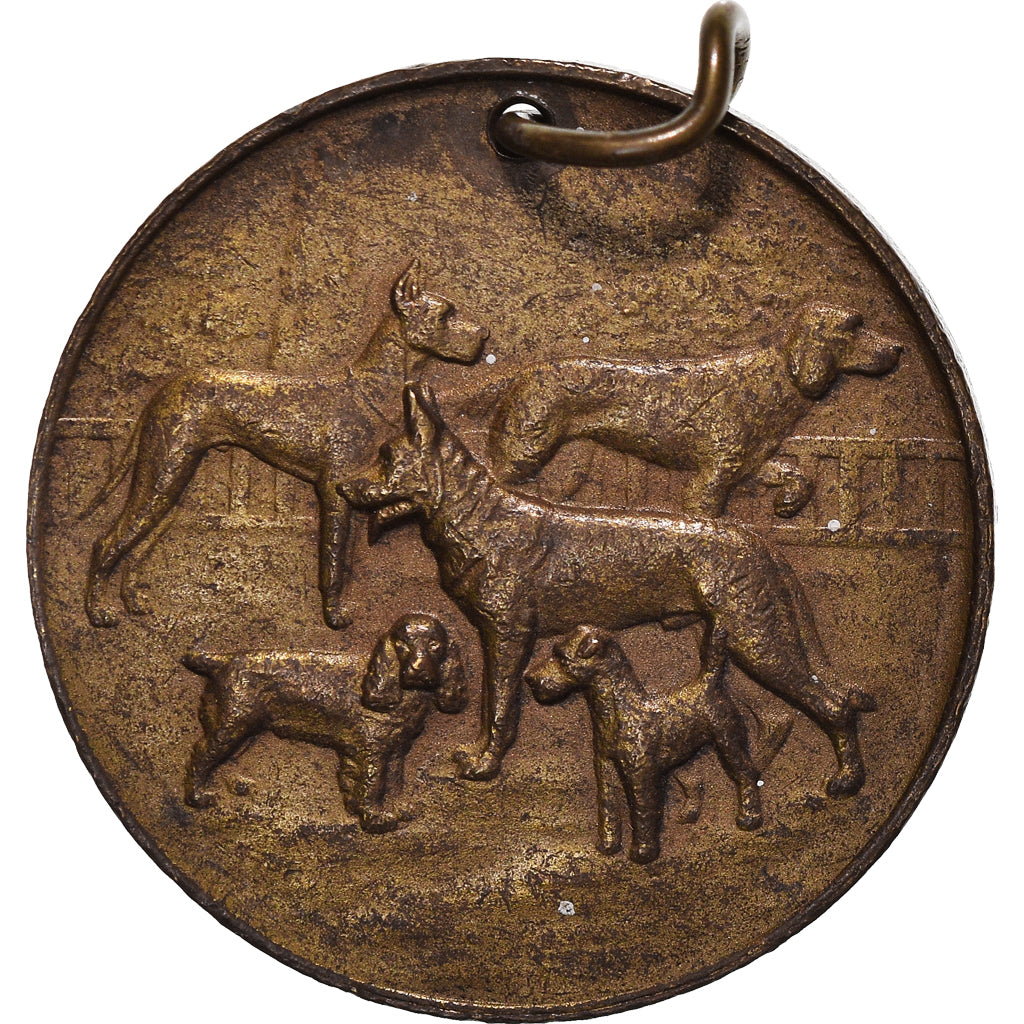France, Medal, Fédération Cynologique de France, Chiens, EF(40-45), Bronze