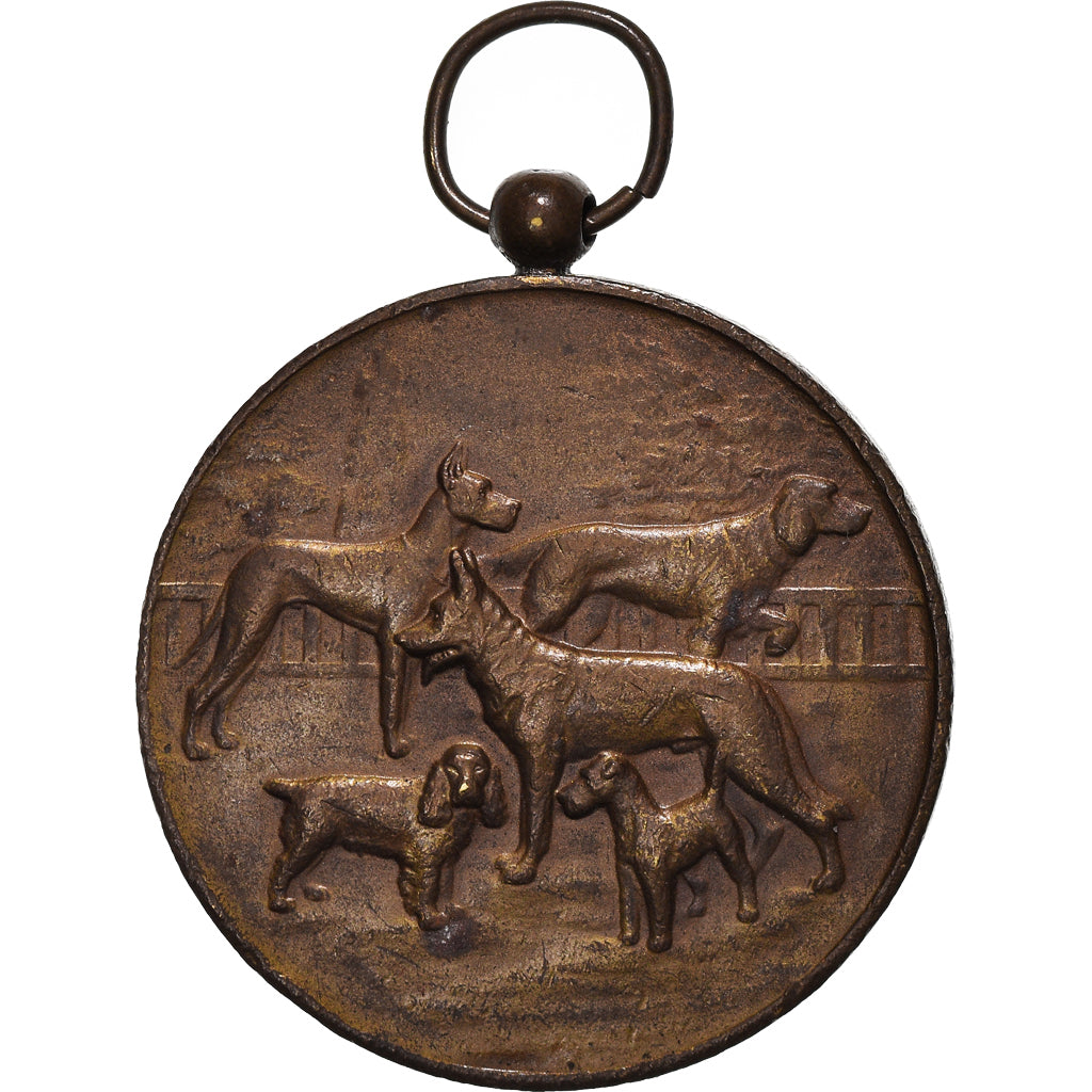 France, Medal, Fédération Cynologique de France, Chiens, EF(40-45), Bronze