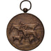 France, Medal, Fédération Cynologique de France, Chiens, EF(40-45), Bronze