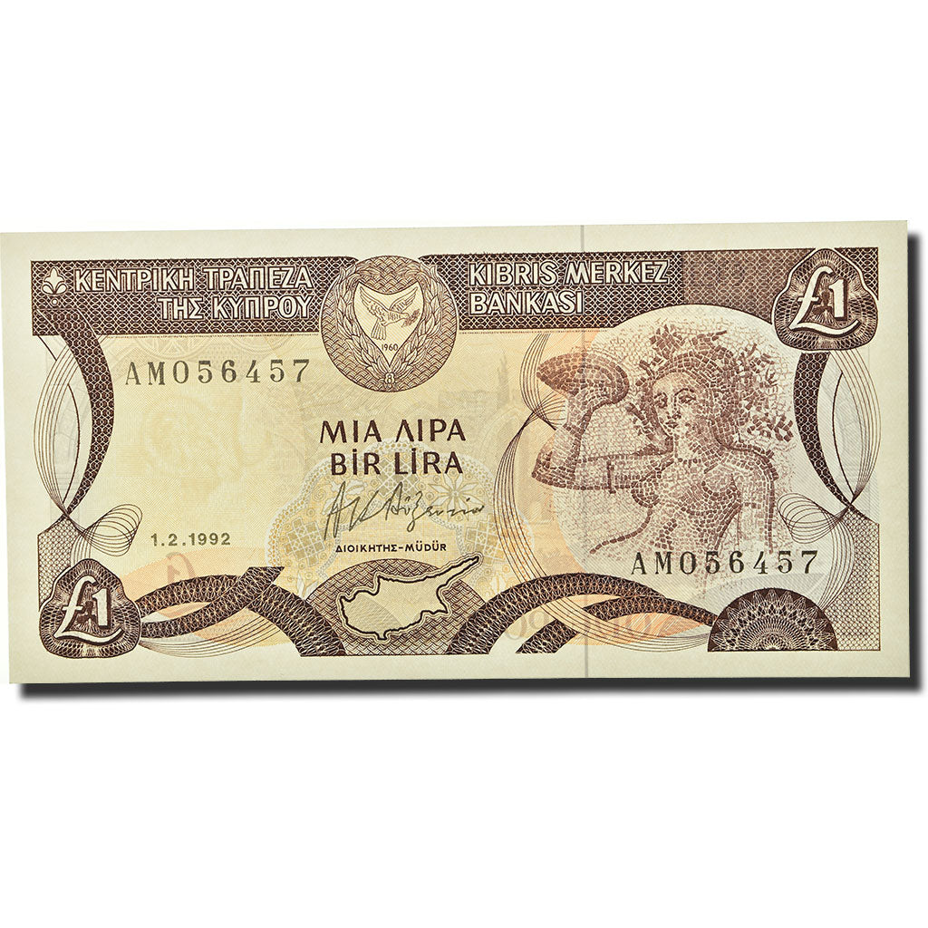 Geldschein, Zypern, 1 Pound, 1992-02-01, KM:53b, UNZ