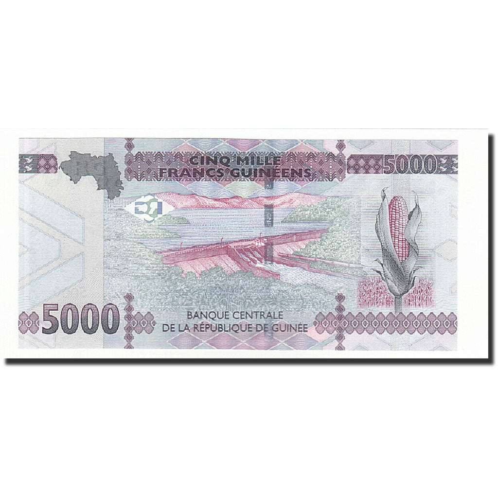 Banknot, Gwinea, 5000 Francs, 2015, UNC(65-70)