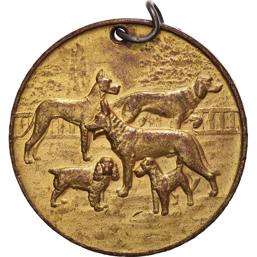 France, Medal, Fédération Cynologique de France, Chiens, EF(40-45), Gilt