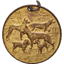 France, Medal, Fédération Cynologique de France, Chiens, EF(40-45), Gilt