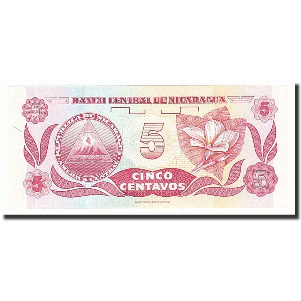 Nicaragua, 5 Centavos, Undated (1991), KM:168a, UNC(63)