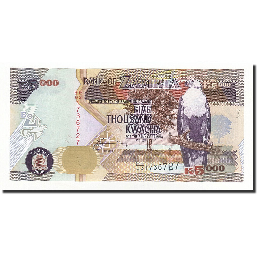 Banknote, Zambia, 5000 Kwacha, 2008, KM:45d, UNC(65-70)
