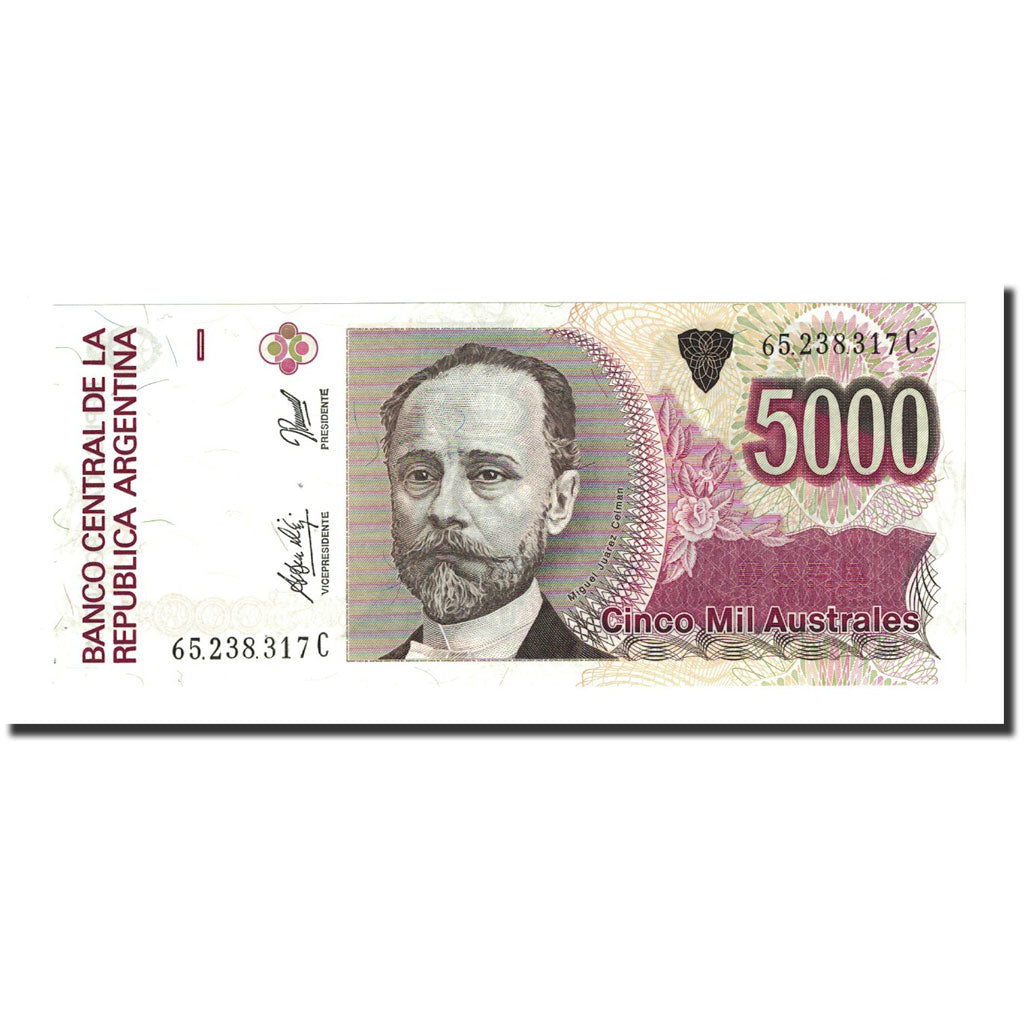 Banknote, Argentina, 5000 Australes, Undated (1989-91), KM:330e, UNC(65-70)