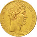Moneta, Francia, Charles X, 20 Francs, 1828, Paris, BB, Oro, KM:726.1