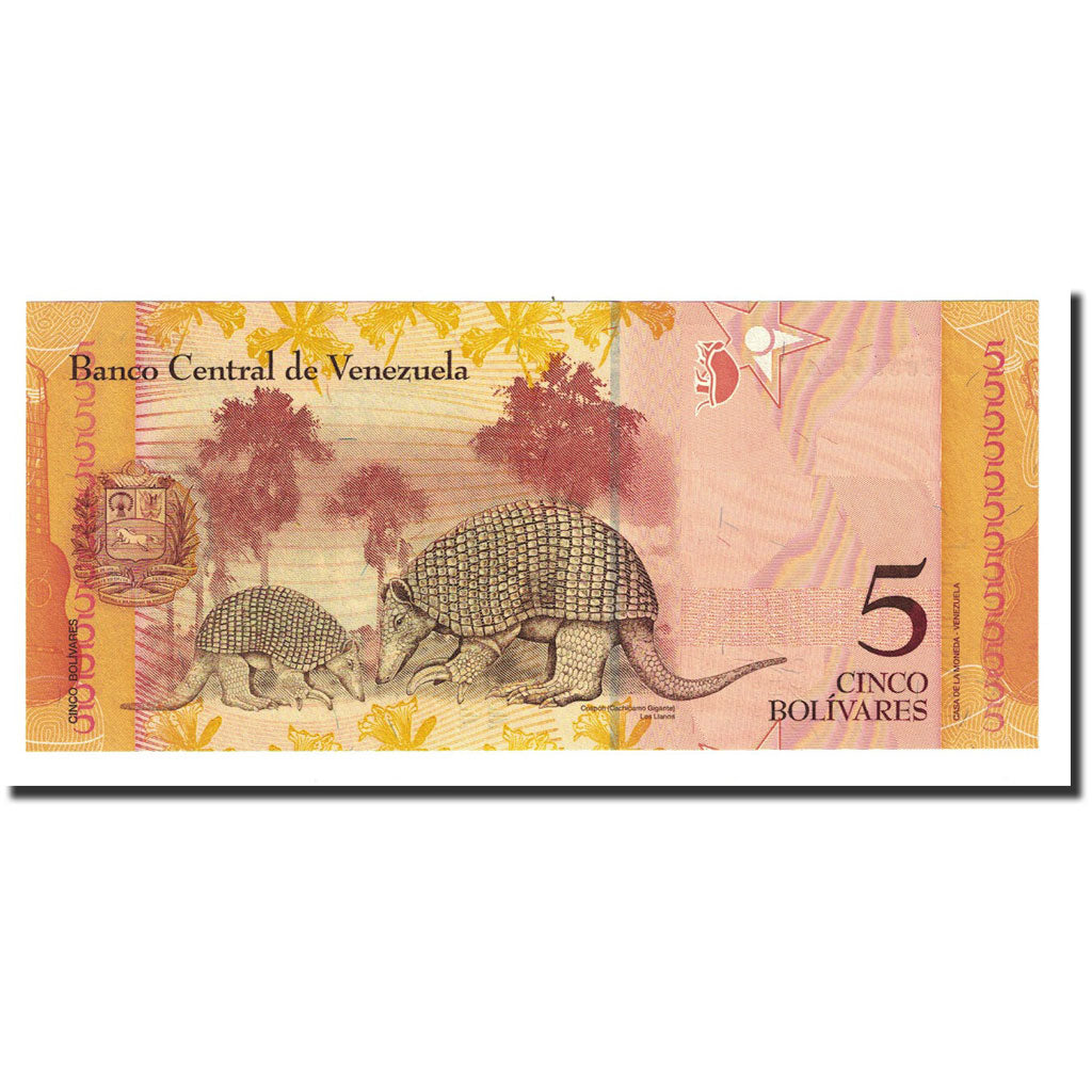 Banknote, Venezuela, 5 Bolivares, 2007-03-20, KM:89a, UNC(65-70)