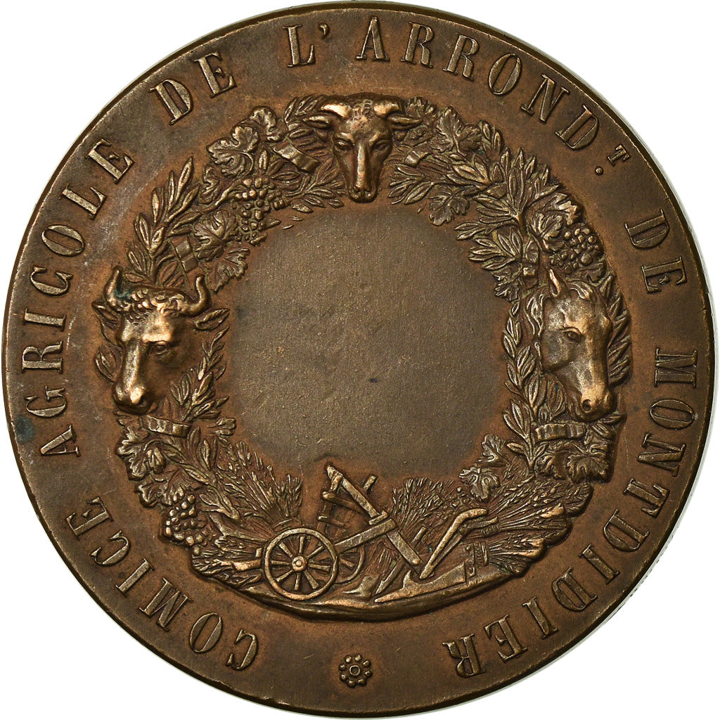 France, Médaille, Comice agricole de Montdidier, Dropsy, TTB+, Bronze