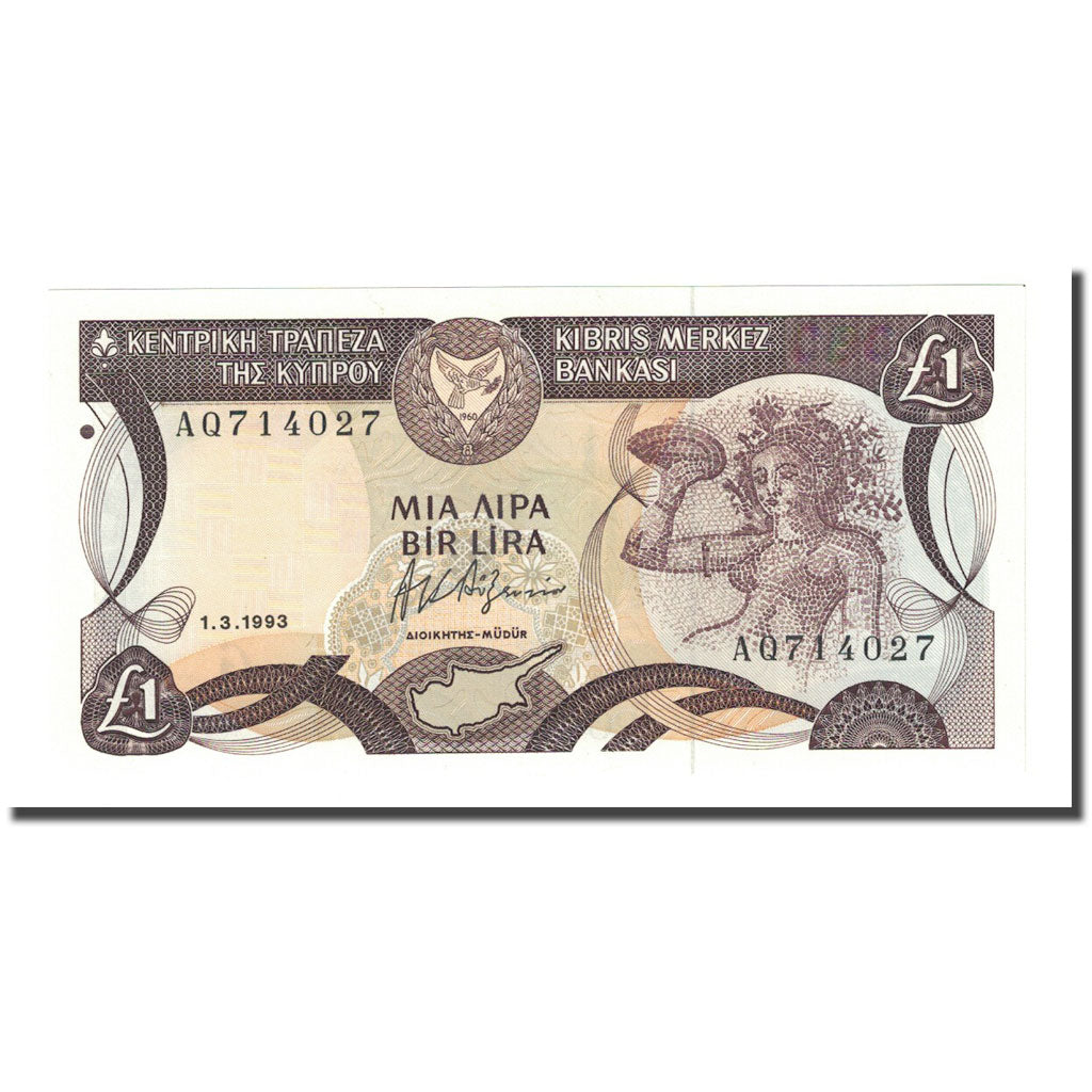 Banknote, Cyprus, 1 Pound, 1993-03-01, KM:53c, UNC(65-70)
