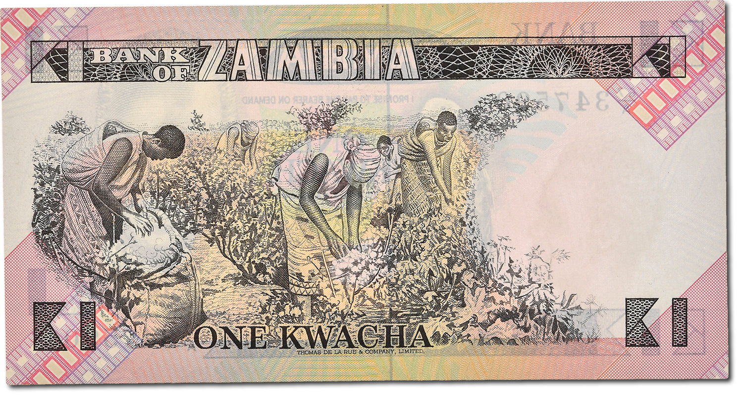 Banknote, Zambia, 1 Kwacha, Undated (1980-88), KM:23b, UNC(65-70)