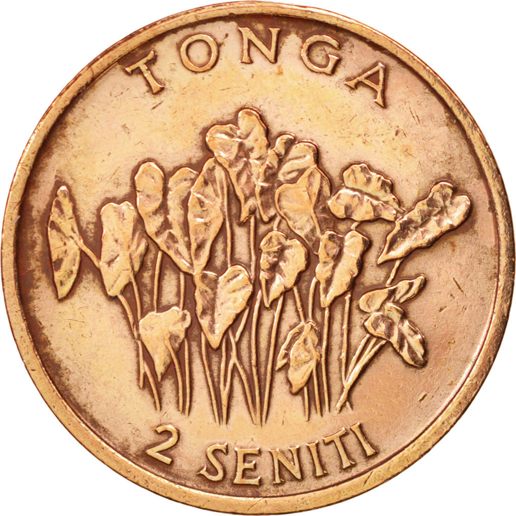 Tonga, King Taufa'ahau Tupou IV, 2 Seniti, 1981, EF(40-45), Bronze, KM:67