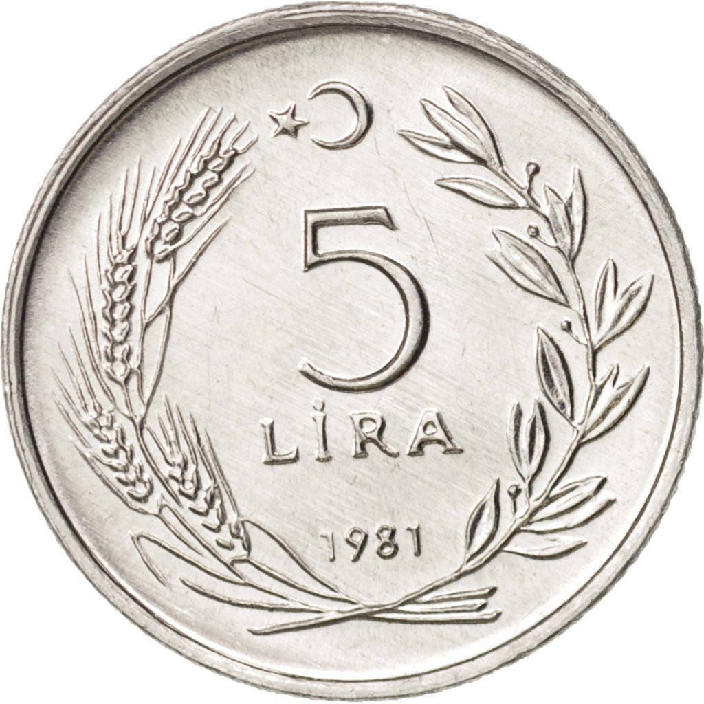Turkey, 5 Lira, 1981, MS(63), Aluminum, KM:944