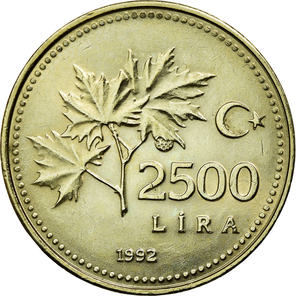 Coin, Turkey, 2500 Lira, 1992, AU(55-58), Nickel-Bronze, KM:1015