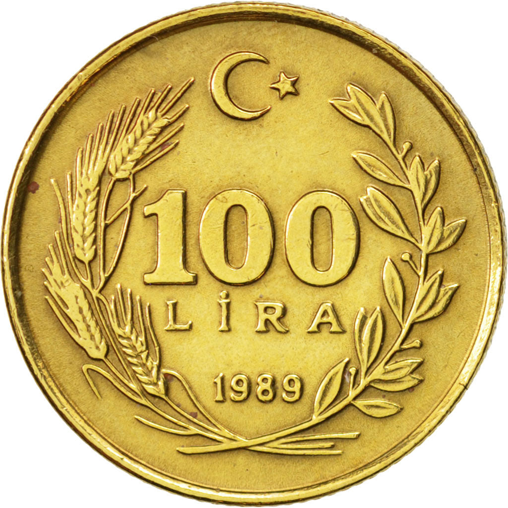 Turkey, 100 Lira, 1989, AU(50-53), Aluminum-Bronze, KM:988