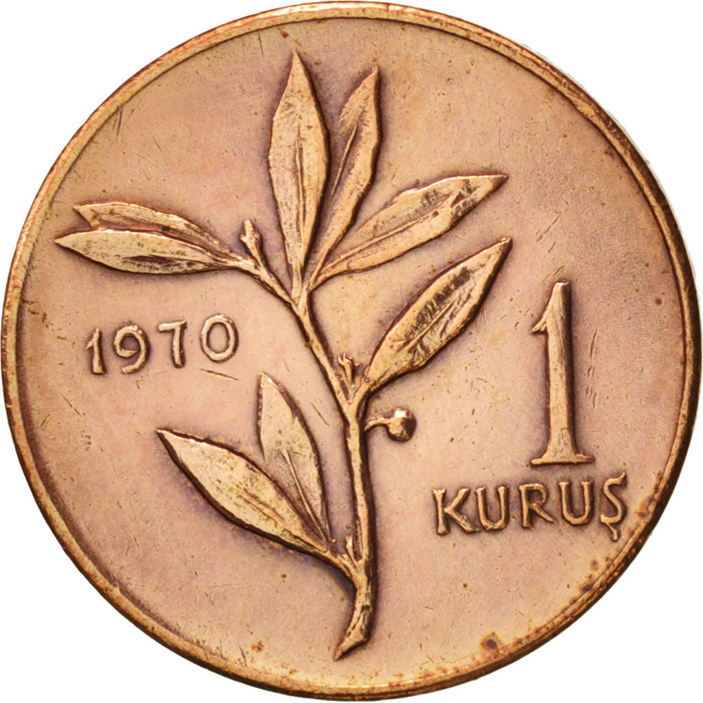 Turkey, Kurus, 1970, EF(40-45), Bronze, KM:895a