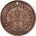 Vatican, Medal, Pie IX, Rome rendue aux Catholiques par les Armes, 1849
