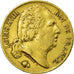 Monnaie, France, Louis XVIII, Louis XVIII, 20 Francs, 1820, Perpignan, TB+, Or