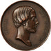 Francia, medalla, Henri De France, History, 1842, Gayrard, MBC+, Cobre