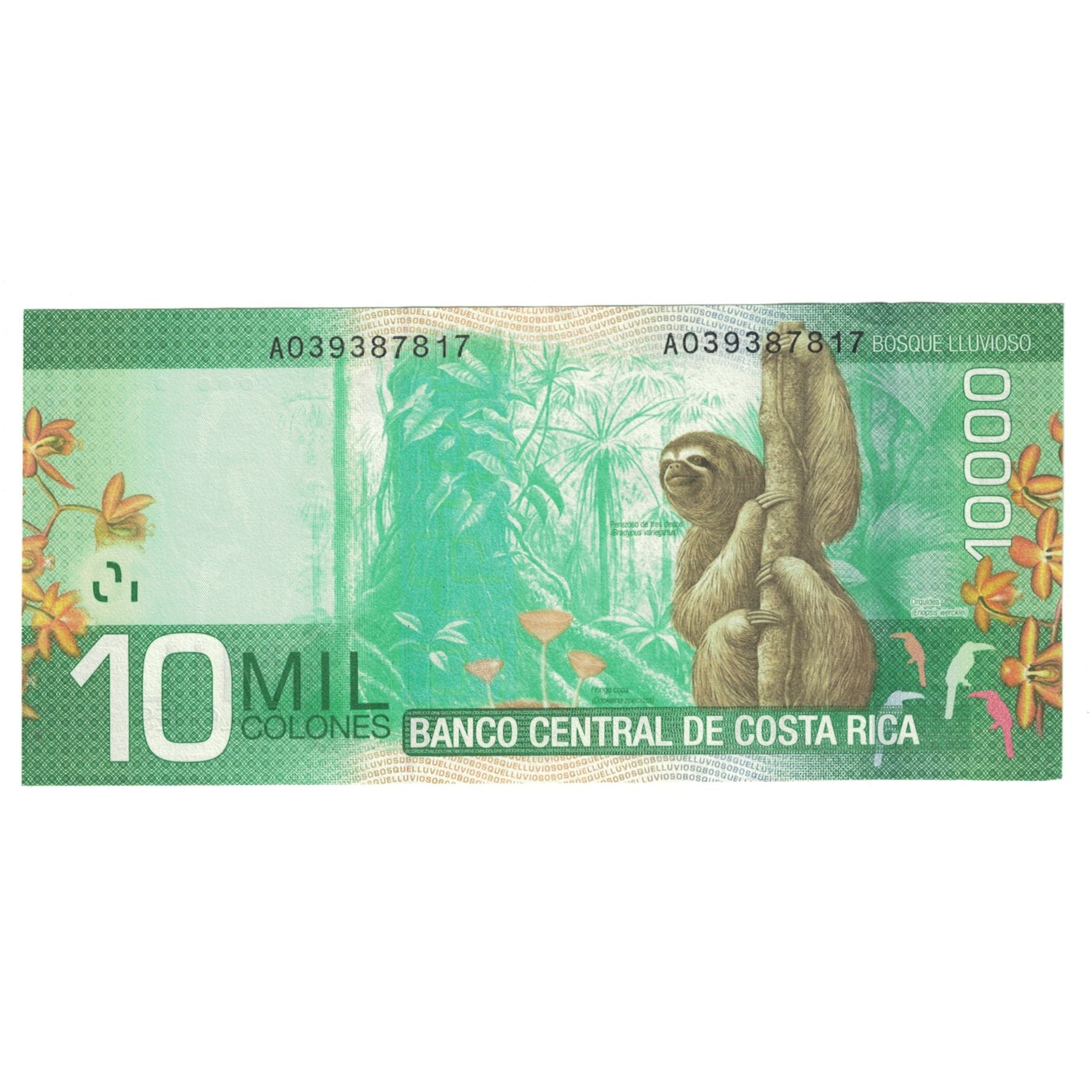 Billete, 10,000 Colones, 2009, Costa Rica, 2009-09-02, KM:277, UNC