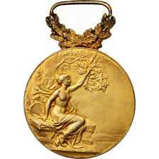 França, Jeux Floraux du Languedoc, Medal, 1907, Qualidade Excelente, Pillet
