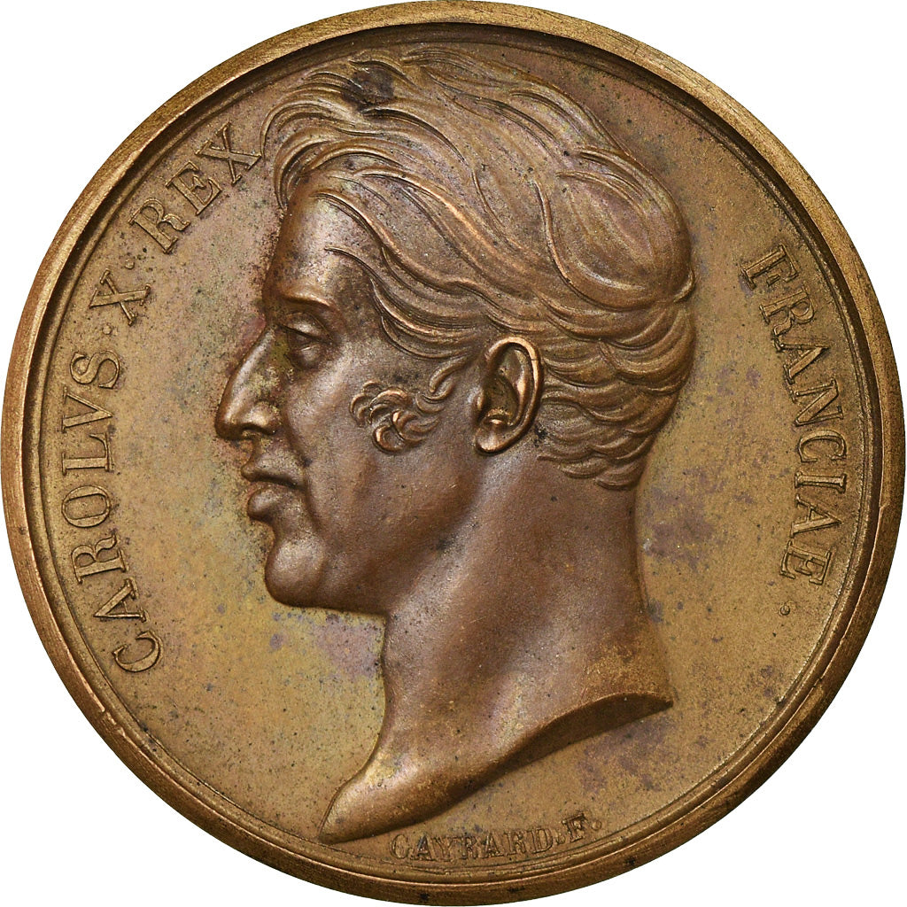 Francia, medaglia, Charles X, Sacre à Reims, 1825, Gayrard, BB+, Bronzo