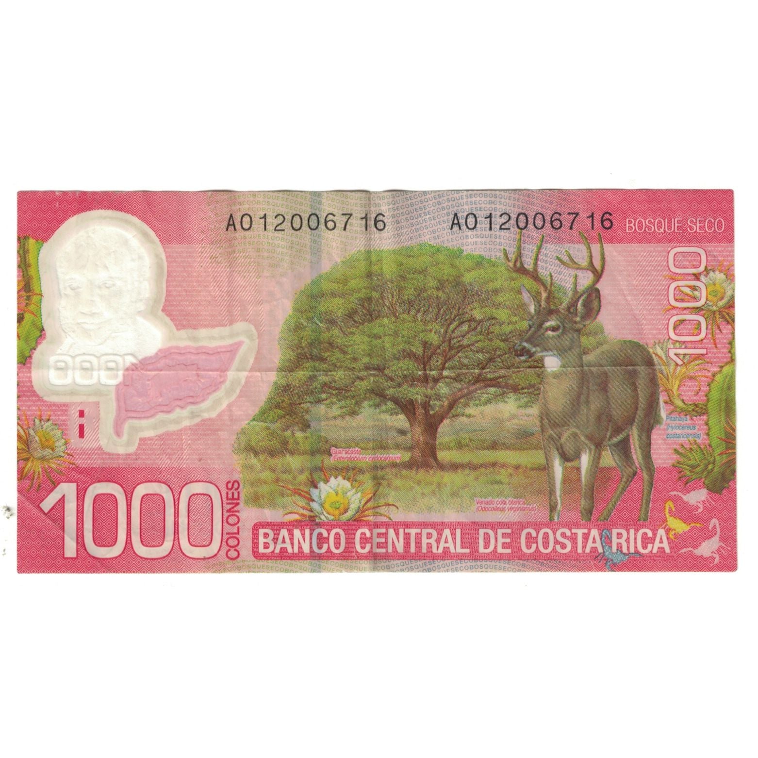 Banknote, Costa Rica, 1000 Colones, 2009, 2009-09-02, KM:274, UNC(65-70)