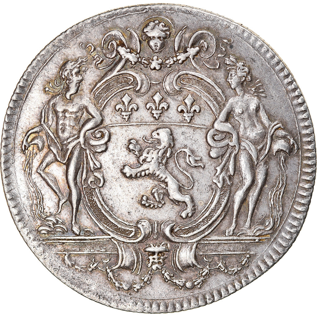 France, Medal, Royal, Du Lyonnais, Municipalité de Lyon, History, AU(55-58)