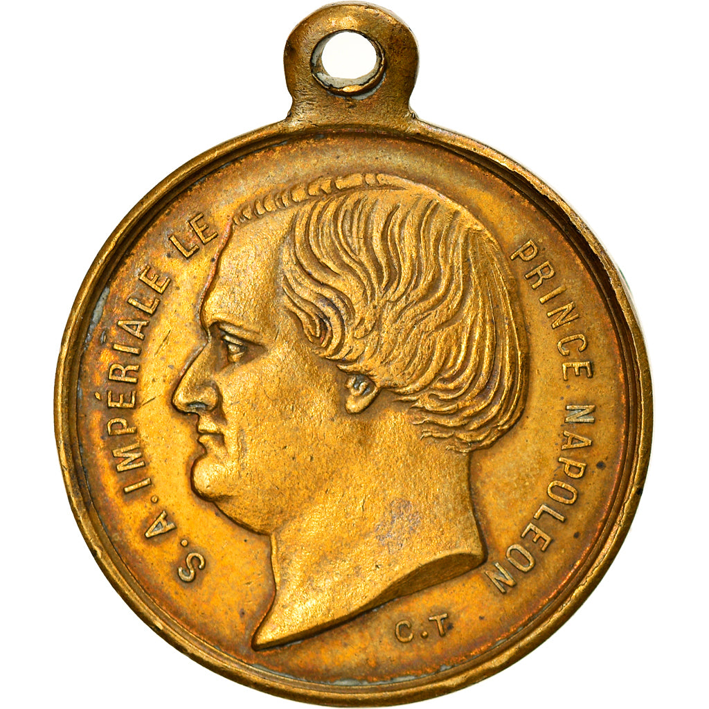 France, Medal, Mariage du Prince Napoléon et Clotilde de Savoie, History