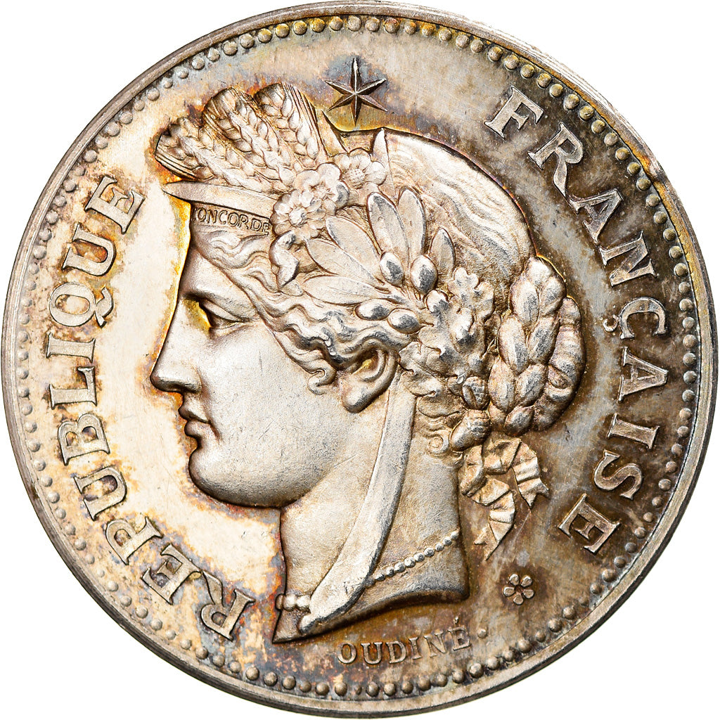 Frankreich, Medaille, Certificat d'Etudes Primaires de la Seine, Oudiné, UNZ