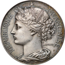France, Medal, Comice Agricole de Château-Thierry, Farcoy, 1896, Arthus