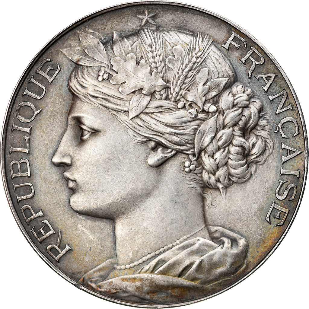 France, Medal, Comice Agricole de Château-Thierry, Race Chevaline, 1895, Arthus