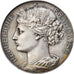 France, Medal, Comice Agricole de Château-Thierry, Race Chevaline, 1895, Arthus