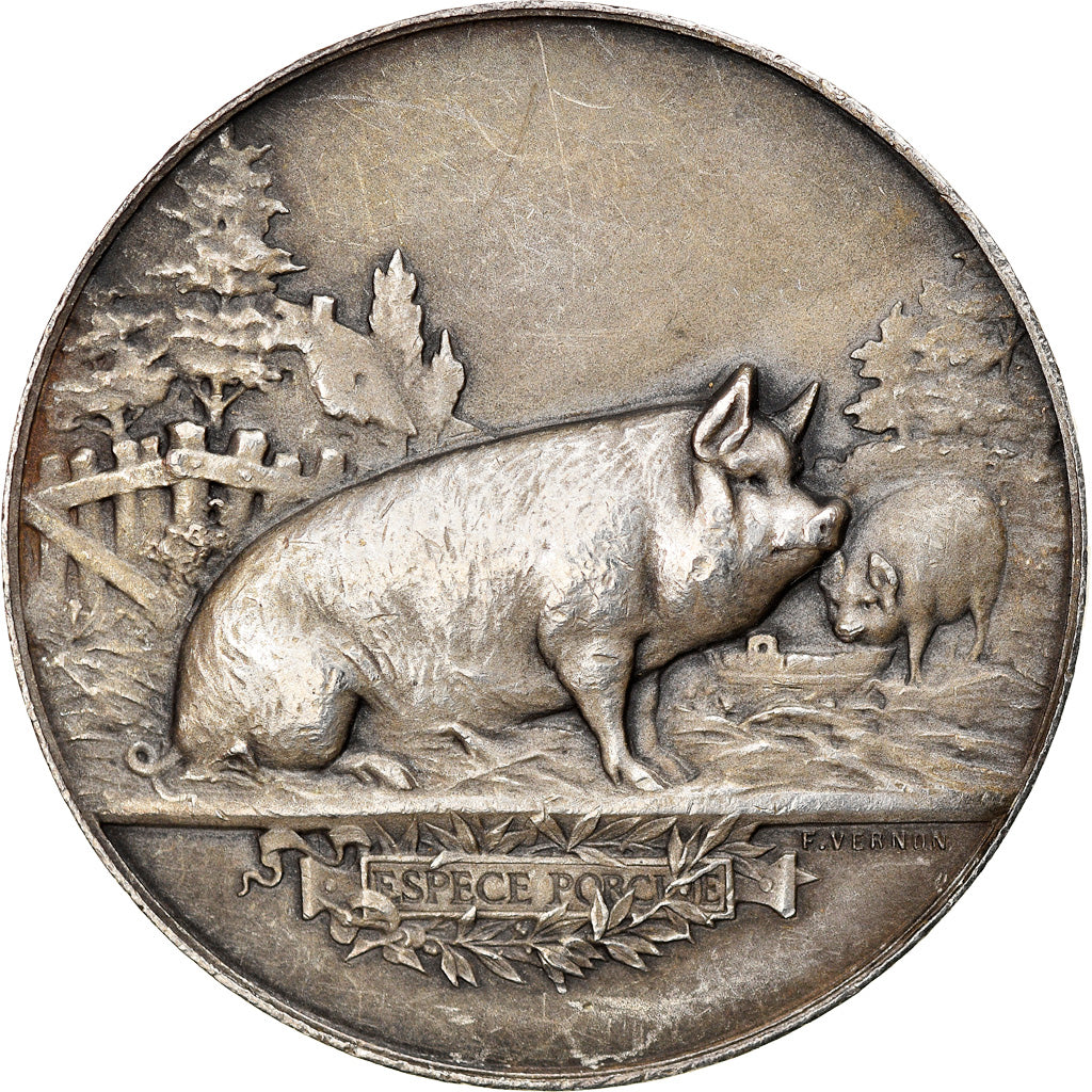 France, Medal, Concours Agricole du Blanc, Indre, 1910, Vernon, AU(50-53)