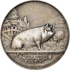 France, Medal, Concours Agricole du Blanc, Indre, 1910, Vernon, AU(50-53)