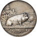 France, Medal, Concours Agricole du Blanc, Indre, 1910, Vernon, AU(50-53)