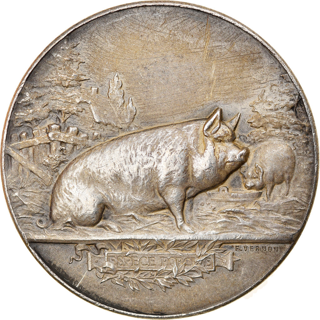 France, Médaille, Concours Agricole de la Brenne à Rosnay, Reproducteurs