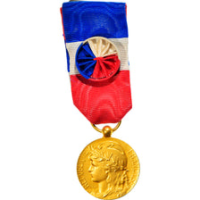 France, Honneur-Travail, République Française, Medal, Excellent Quality