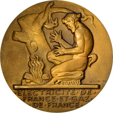 Frankrijk, Medaille, Électricité de France et gaz de France, Business &