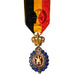 Belgique, Médaille du Travail 1ère Classe avec Rosace, Médaille, Excellent