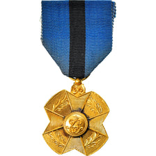 Bélgica, Ordre de Léopold II, Medal, Qualidade Excelente, Bronze Dourado, 38